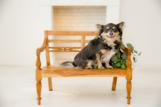 Rita closet・Rita Photo_アドバイス写真