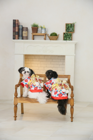 Rita closet・Rita Photo_アドバイス写真