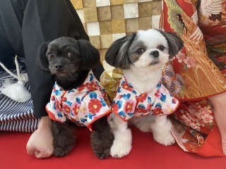 Rita closet・Rita Photo_アドバイス写真