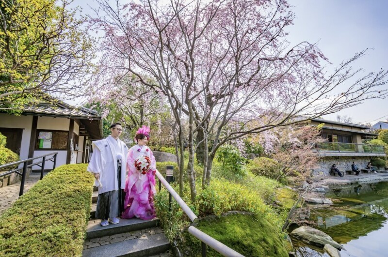 banana monky PICTURES_投稿写真