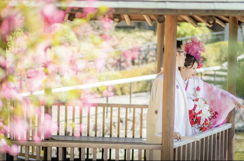 banana monky PICTURES_投稿写真