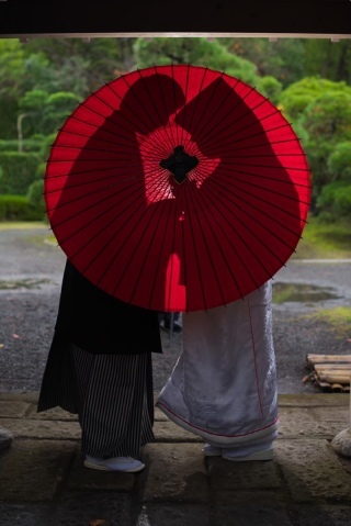 ウエディングファンタジア【ローズ】_アドバイス写真