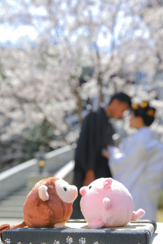 BLANC.THEE フォトスタジオ_アドバイス写真