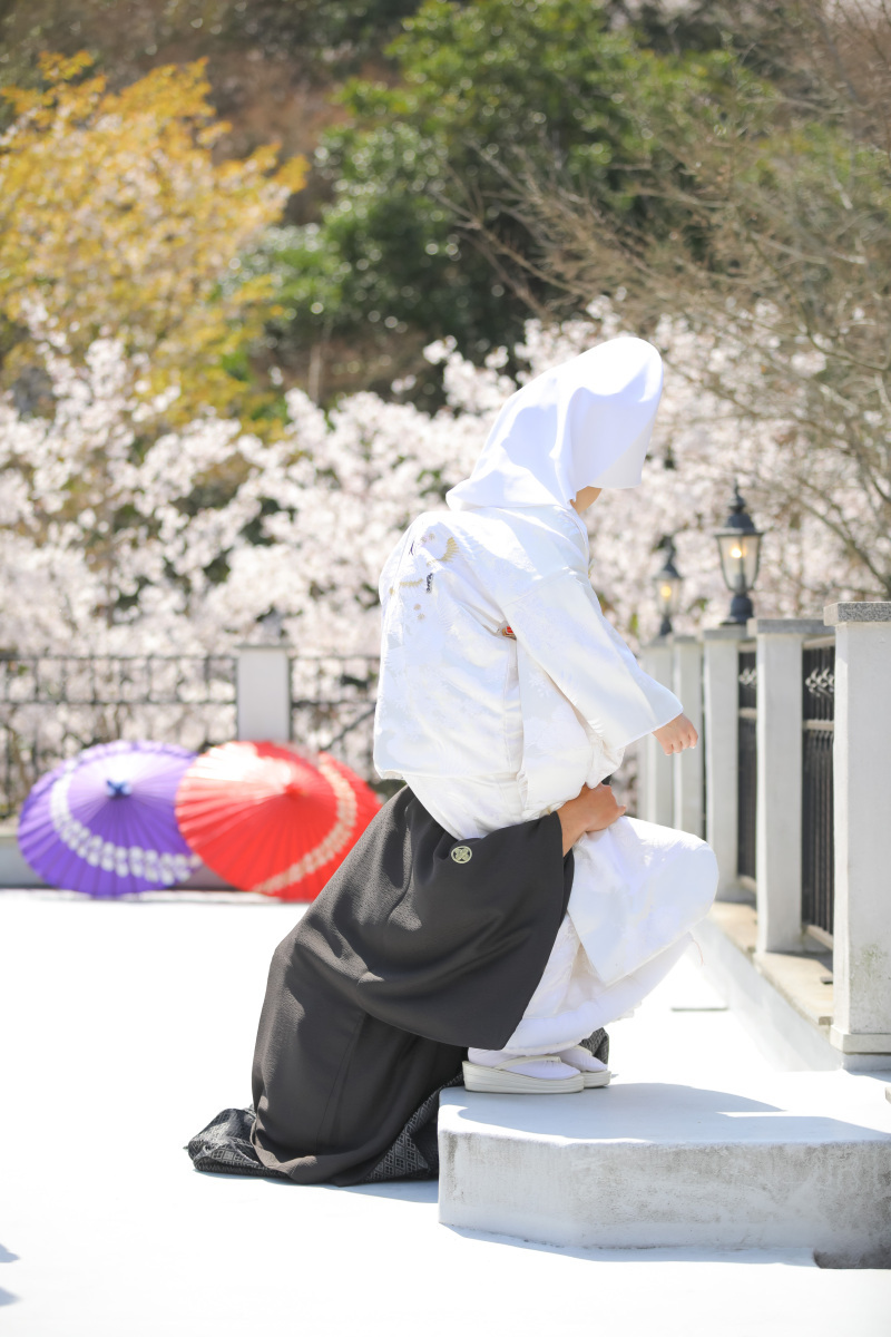 BLANC.THEE フォトスタジオ_投稿写真