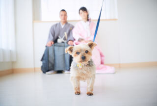 STUDIO PRIMA_アドバイス写真