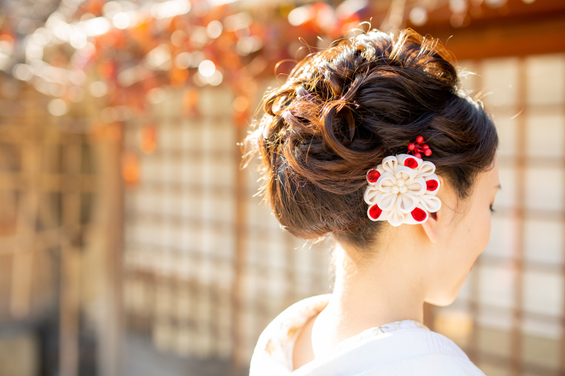 京都 あざらし堂 ー写真部ー_投稿写真