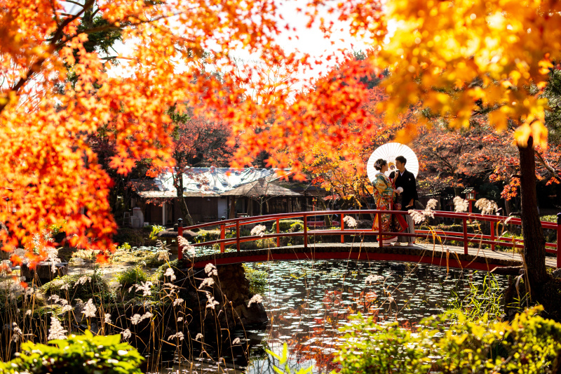 京都 あざらし堂 ー写真部ー_投稿写真