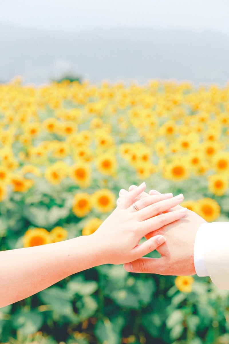 SERIE DRSSING_投稿写真