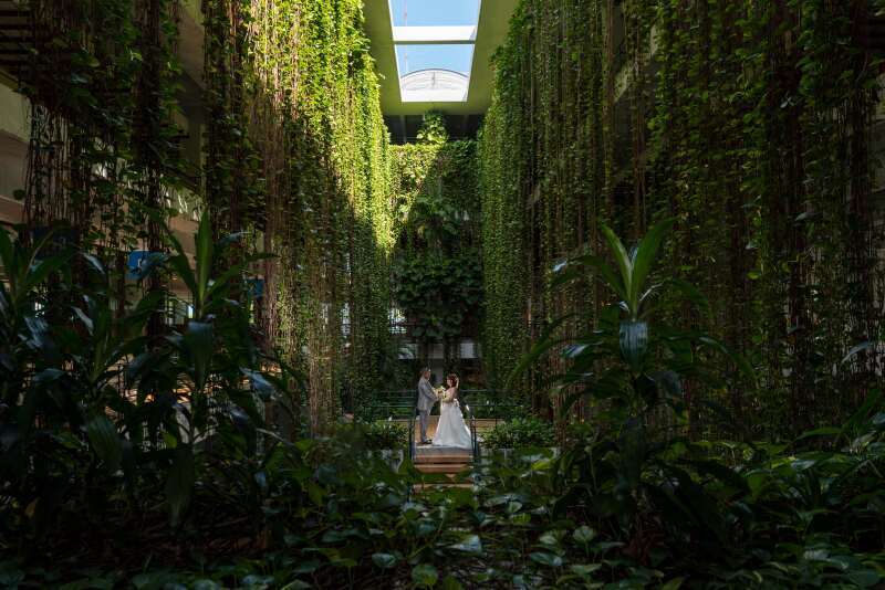 スタジオムーン　Drone & Pictures_投稿写真