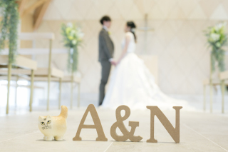 フォトスタジオ　オリーブの樹_アドバイス写真