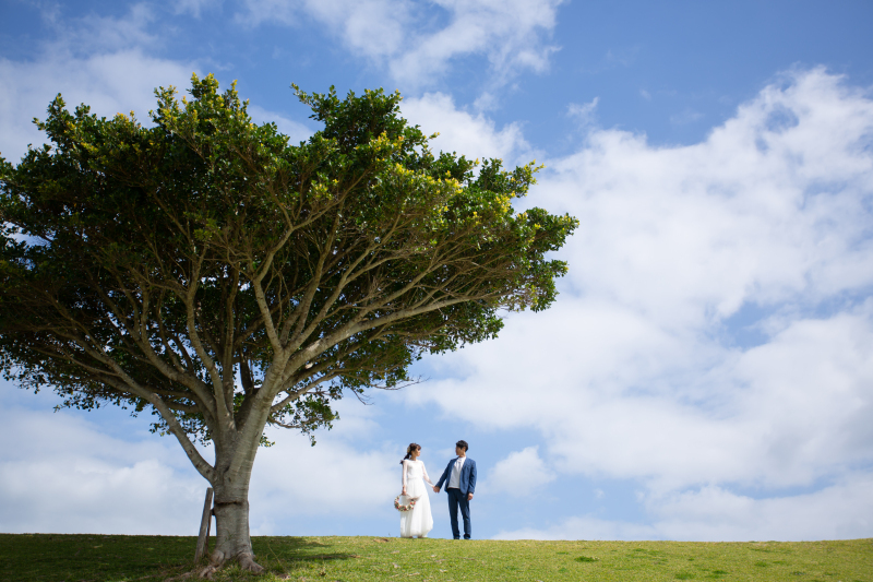 Mille Image（ミルイメージ）【フォトウエディング取扱終了】_投稿写真