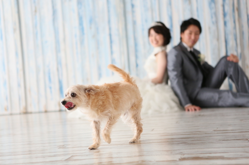 らかんスタジオ小山店_投稿写真