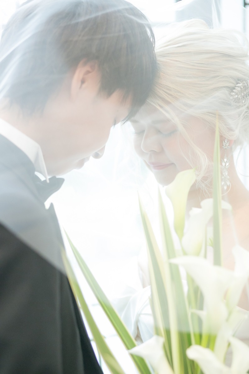 Photic Peer_投稿写真