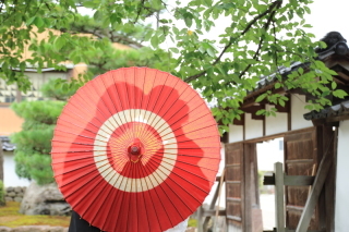 フォトスタジオ カクタス_アドバイス写真