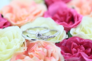 フォトスタジオ カクタス_アドバイス写真