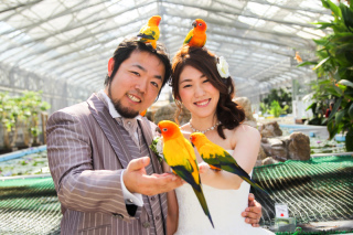 ブライダルハウスカレン_アドバイス写真