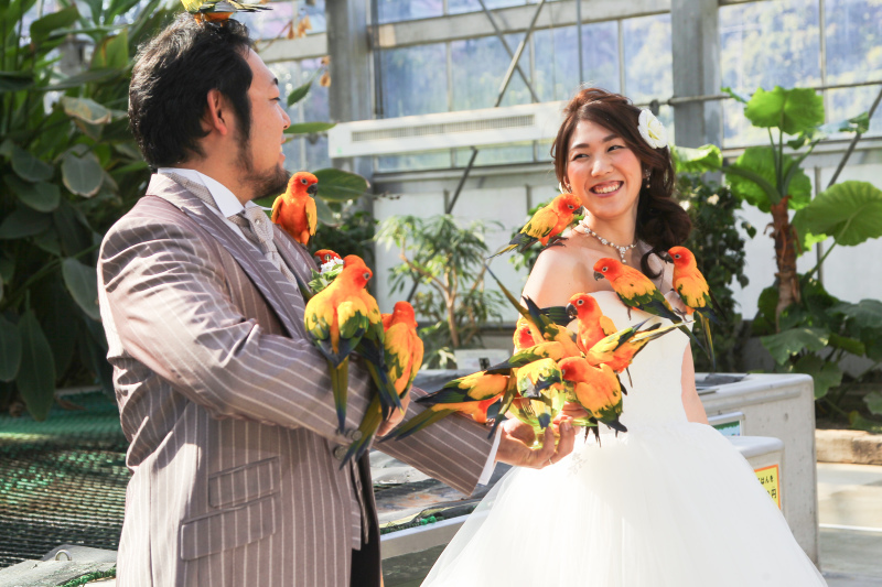 ブライダルハウスカレン_投稿写真