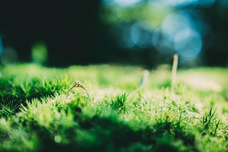 UmoreWedding_投稿写真