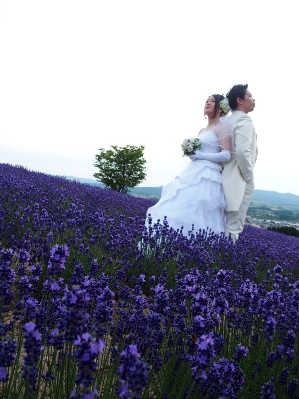 美しすぎるロケーションフォトが撮れます_1111_投稿写真_1