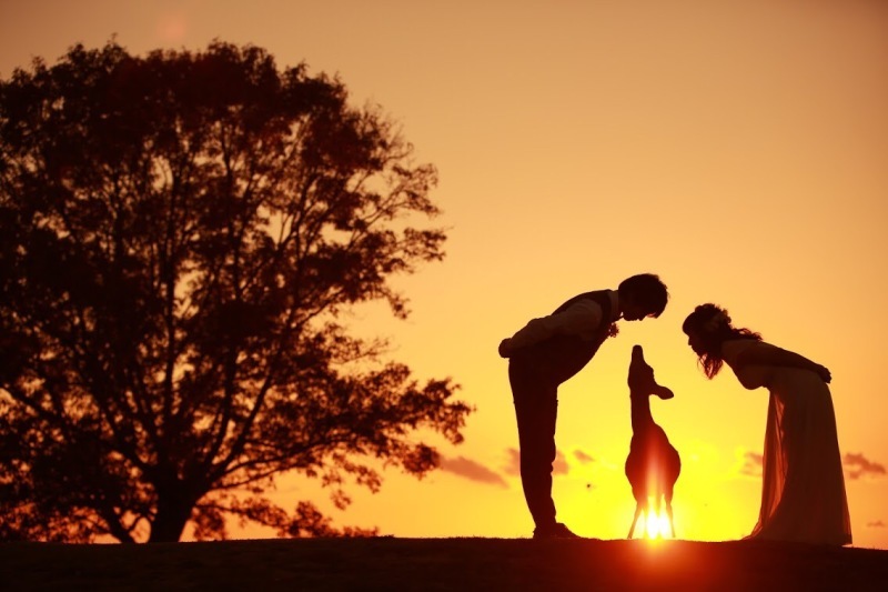 ロケーション撮影、出張撮影ならここ！_1131_投稿写真_1