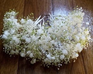 photo studio ouchi_アドバイス写真