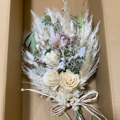 スタジオライト_アドバイス写真