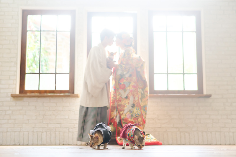 サロンドパルール　salon de parure_投稿写真