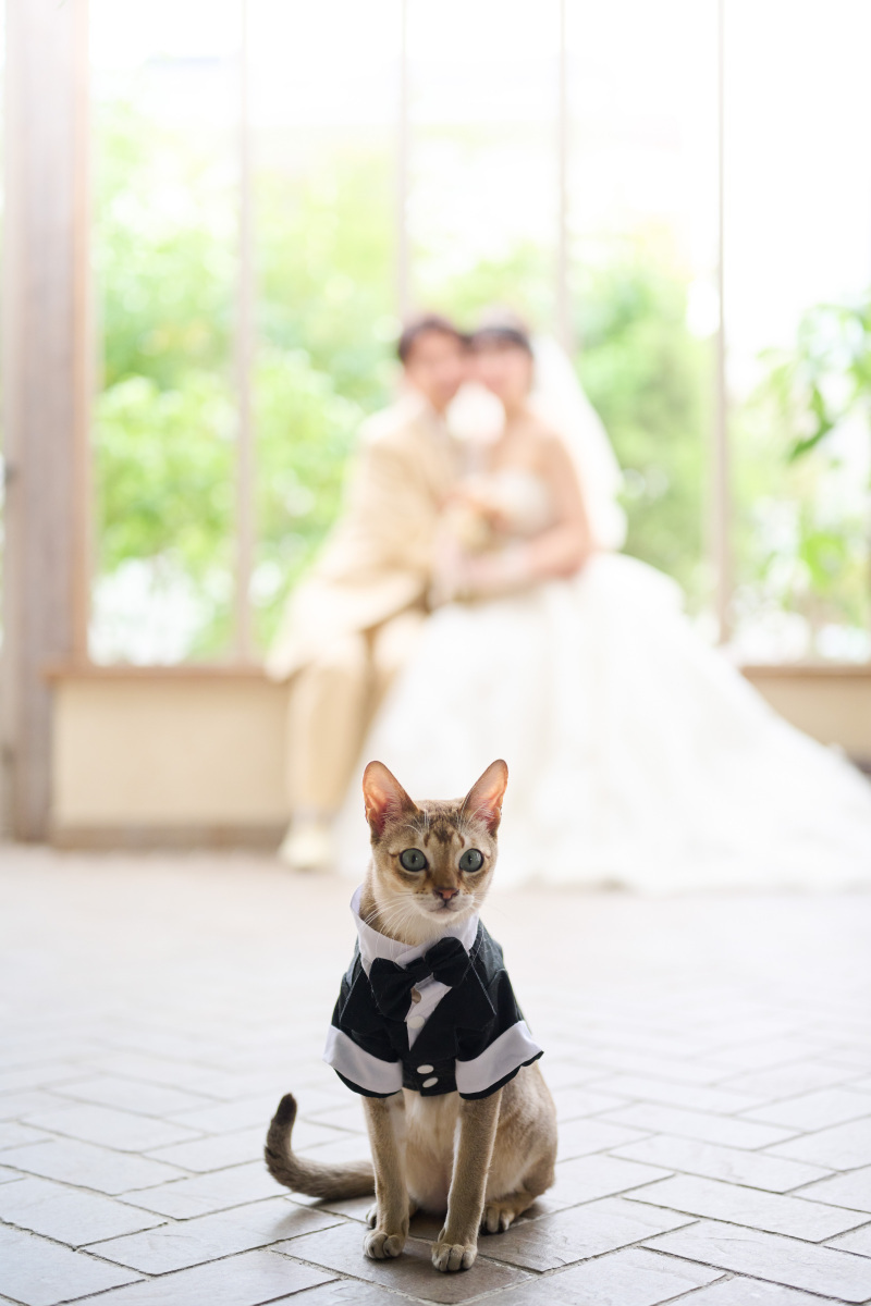 サロンドパルール　salon de parure_投稿写真