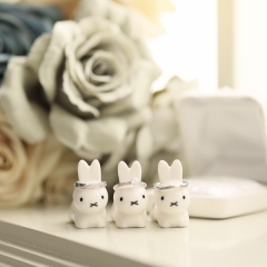 studio LUMINOUS お台場_アドバイス写真