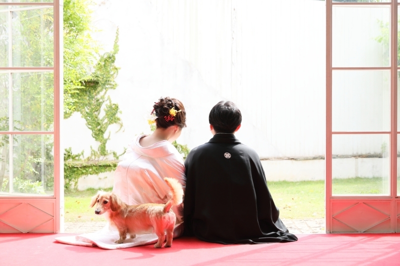 ペットと一緒なら庭付き一軒家スタジオがオススメ！_15765_投稿写真_1