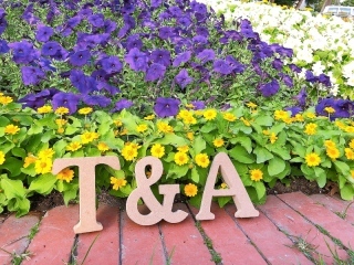 石栗写真館札幌店_アドバイス写真