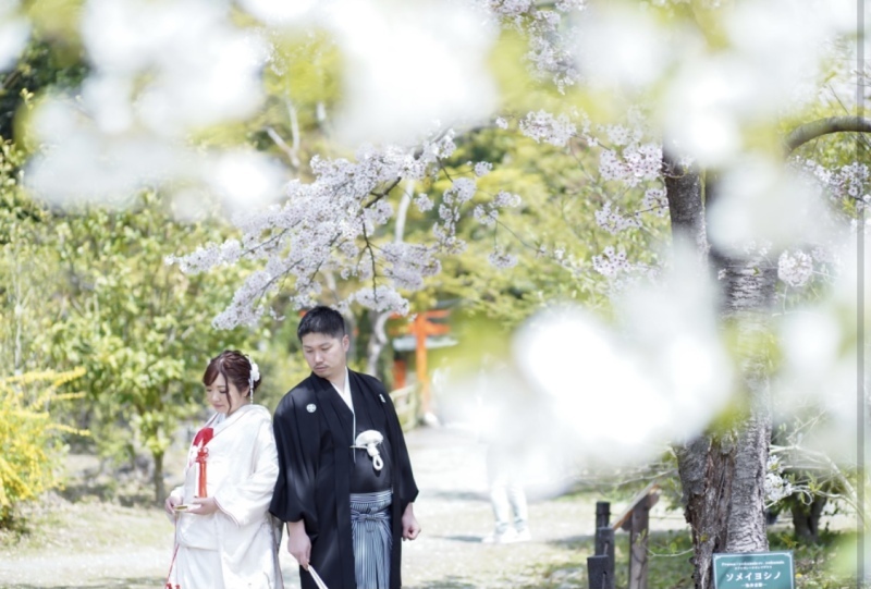 ハルウェディング_投稿写真