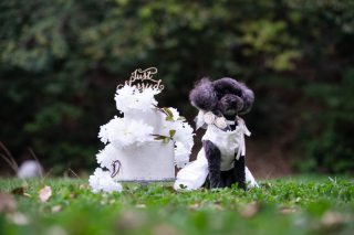 ラヴィファクトリー福岡店_アドバイス写真