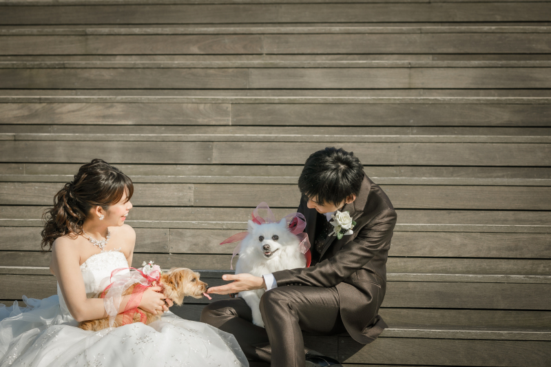 Photo Jellish　横浜（フォトジェリッシュ横浜）_投稿写真