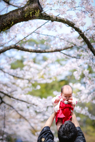 Vivid_アドバイス写真