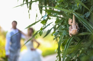 琉球エンターテイメント(琉球ウェディング・studioCASA)_アドバイス写真