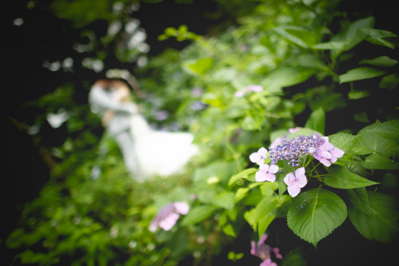 阿部写真館　大阪本町靭公園前店_投稿写真
