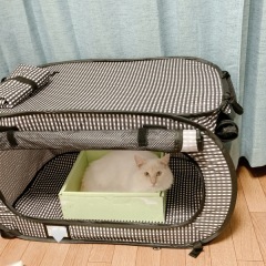 studio FTS_アドバイス写真