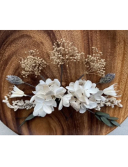 Imagegraph STUDIO_アドバイス写真