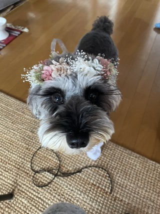 マリアージュ　ことぶき_アドバイス写真