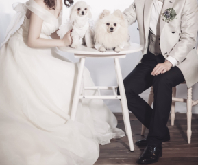 studio FTS_アドバイス写真