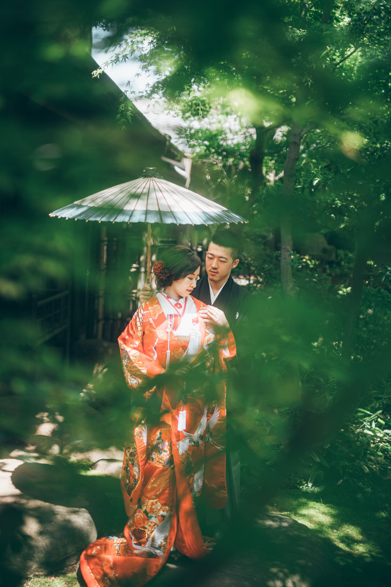 楽しく撮影できました_16088_投稿写真_1