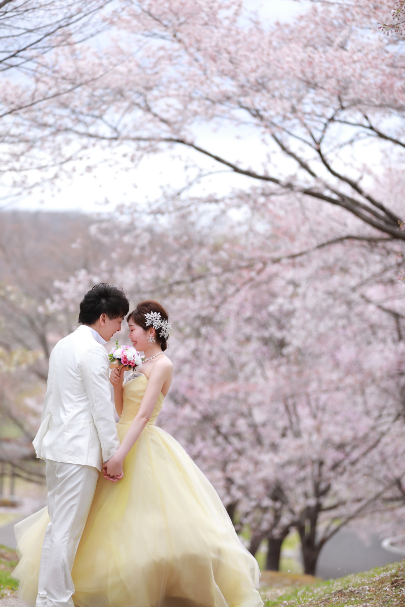 念願の桜とフォトウエディング！_16075_投稿写真_1