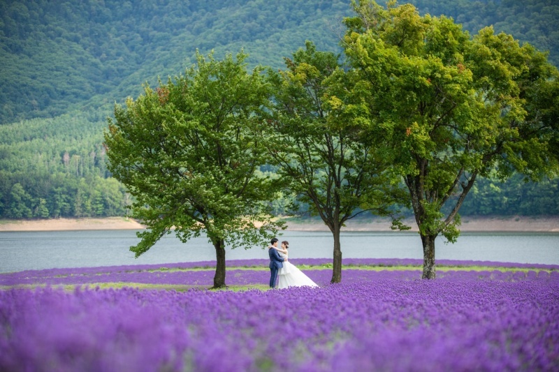 STUDIO SOLA 美瑛店（スタジオSOLA）_投稿写真