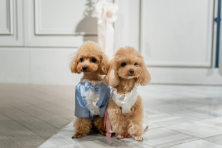 SWITCH梅田_アドバイス写真