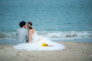 ル・トレフル produced by スタジオエス_アドバイス写真