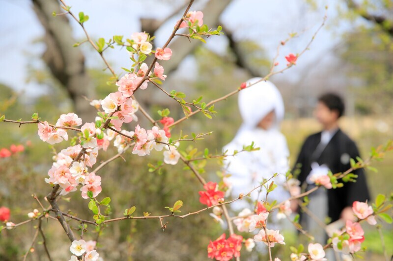 華雅苑 横浜店_投稿写真