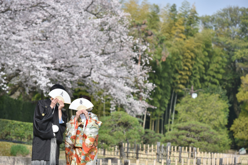 スタジオライト_投稿写真