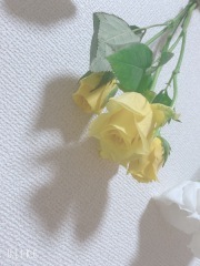 スタジオ ラ・ヴィ　_アドバイス写真