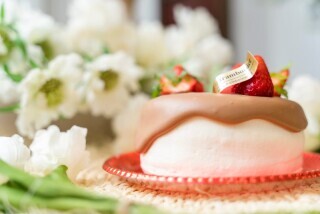 studio Midi._アドバイス写真